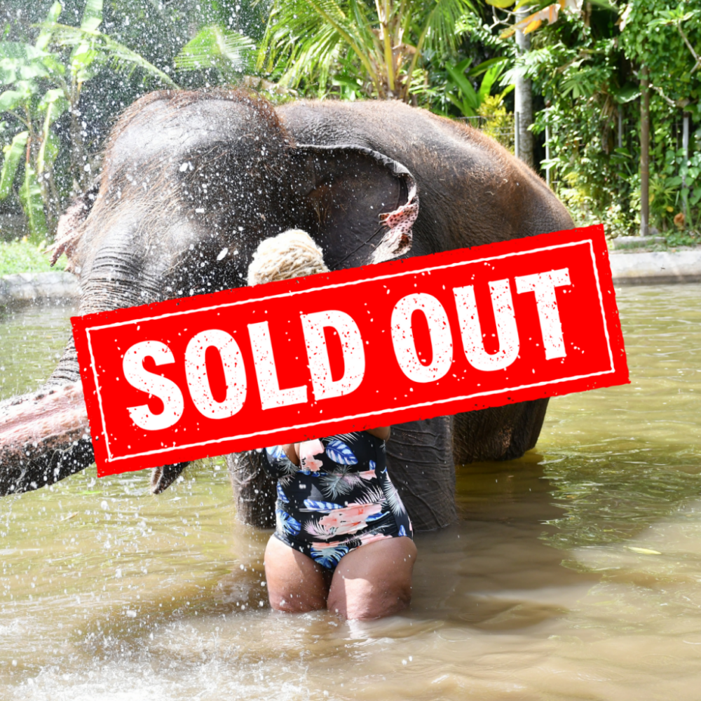 WORD PRESS SOLD OUT SIGNS Bali