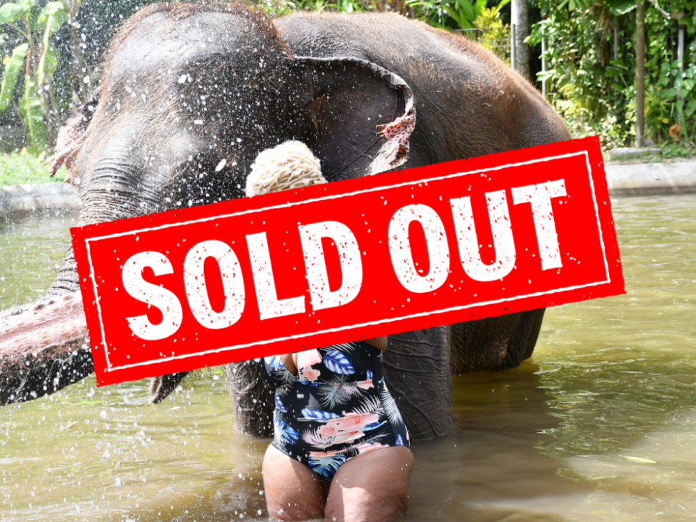 WORD PRESS SOLD OUT SIGNS Bali