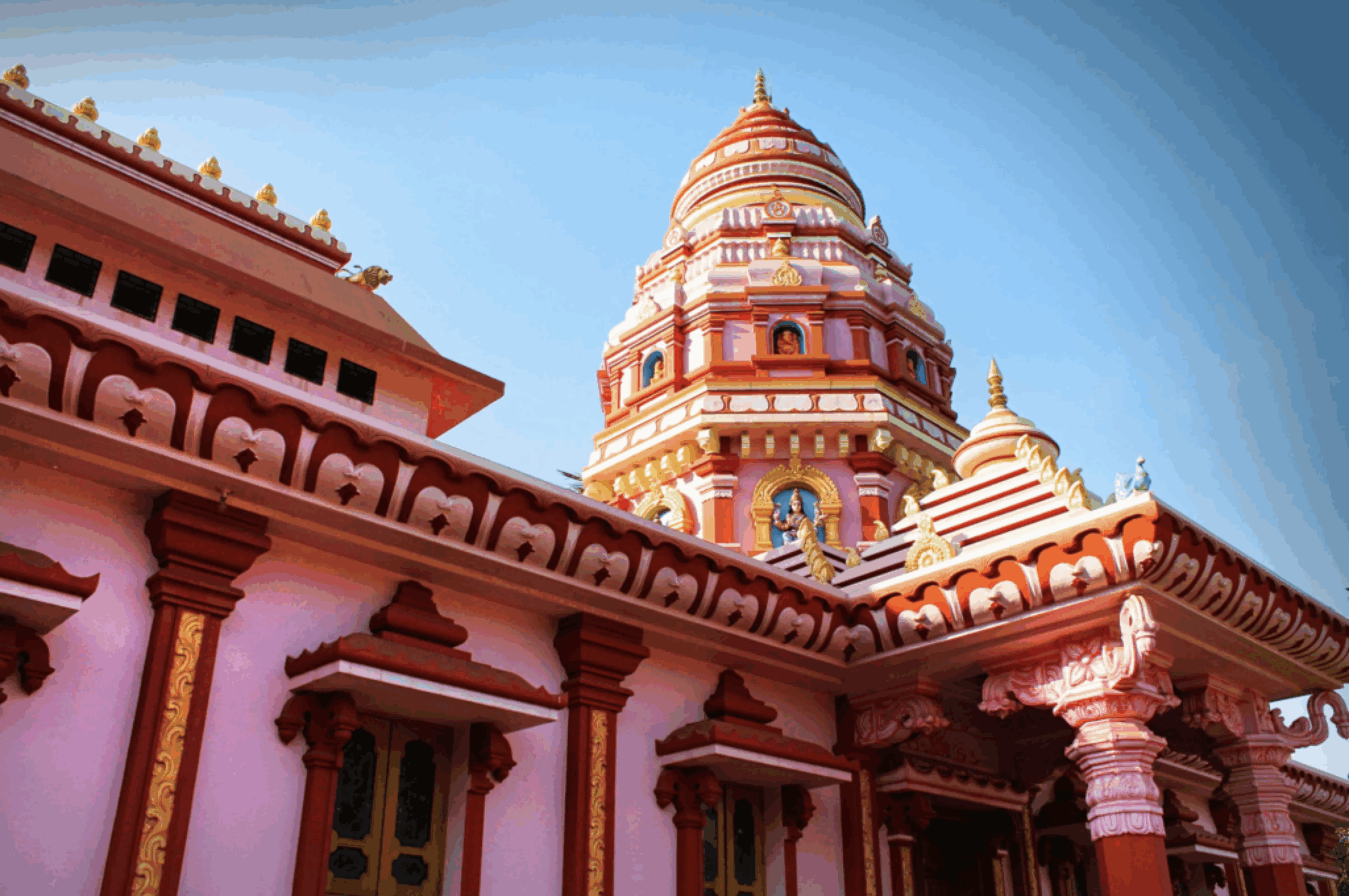 LSF-India-Gallery5