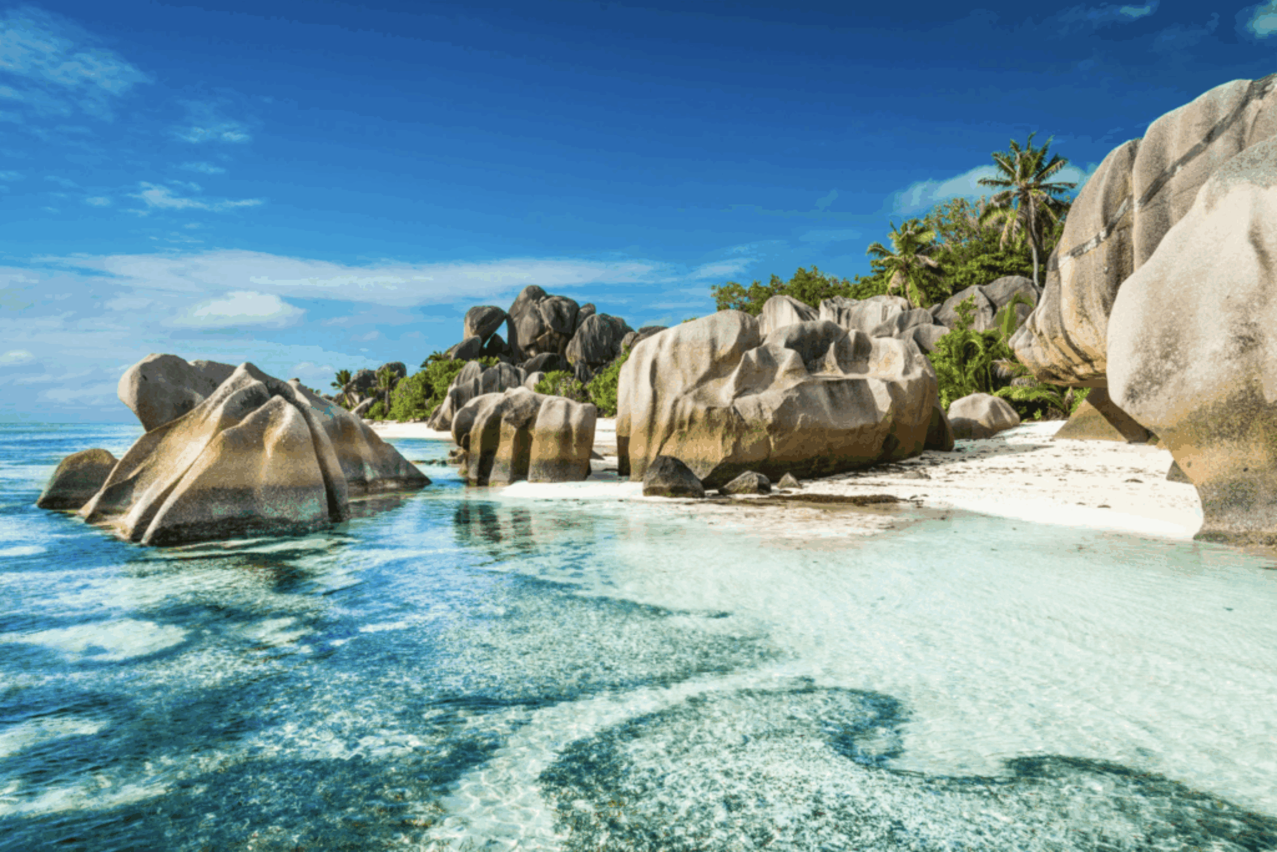 LSF-Seychelles-gallery3