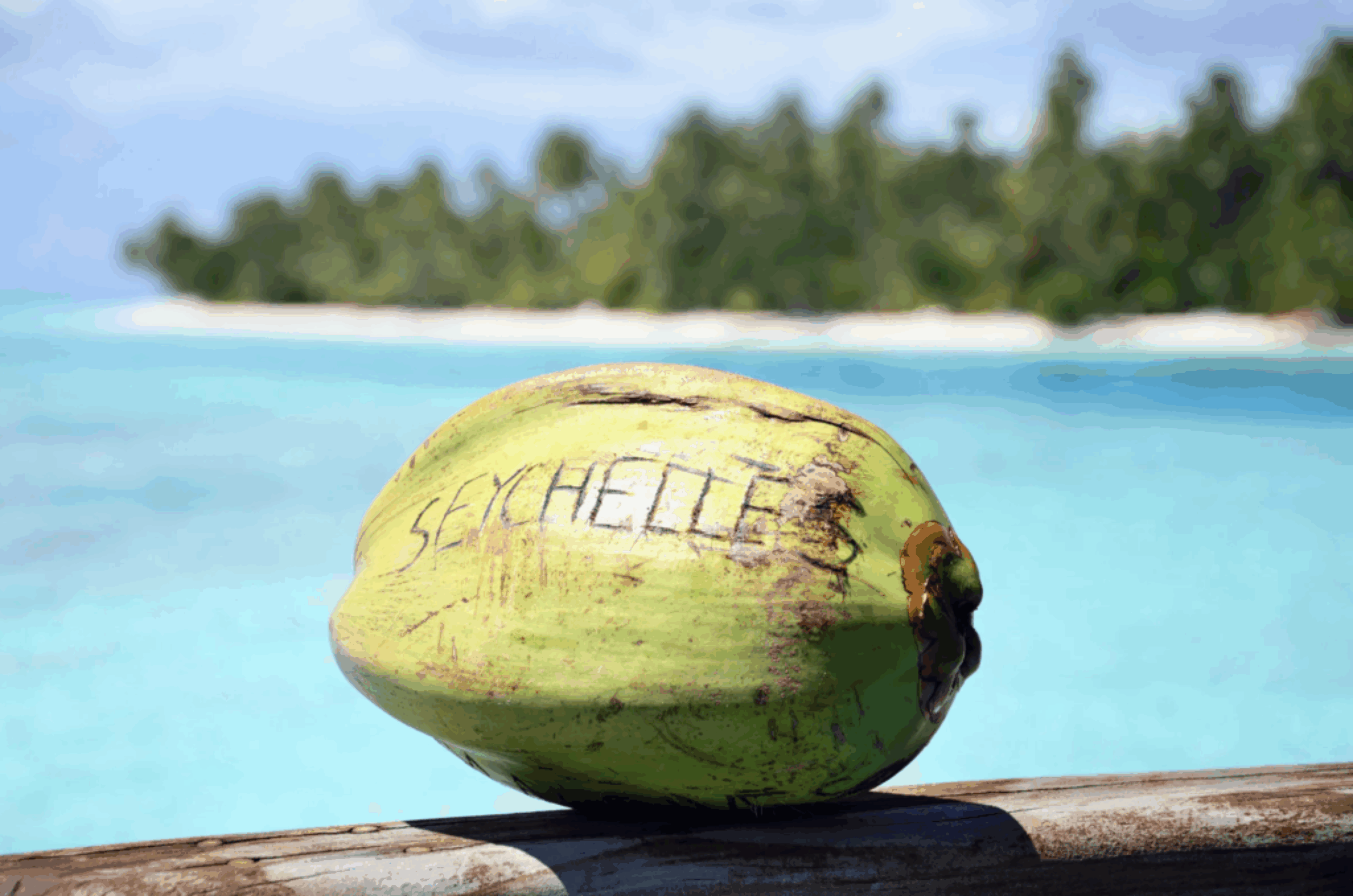 LSF-Seychelles-new1