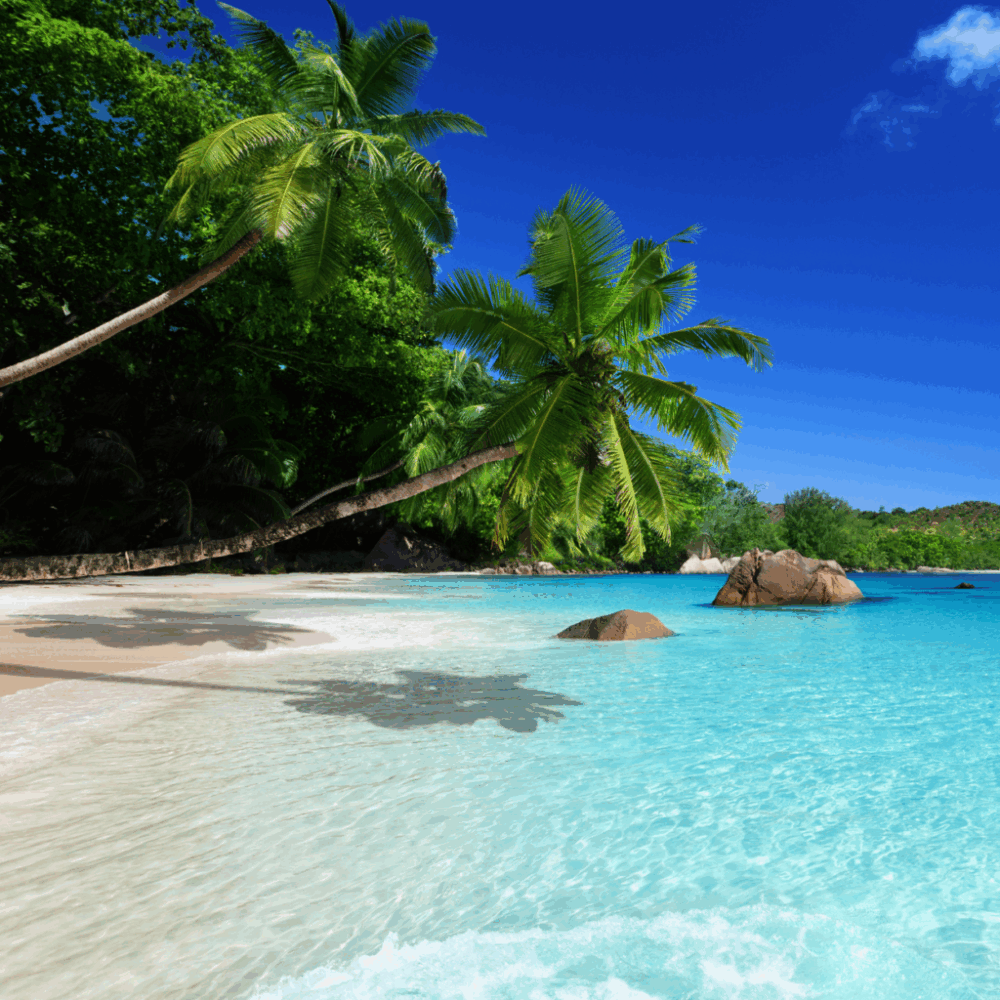 seychelles