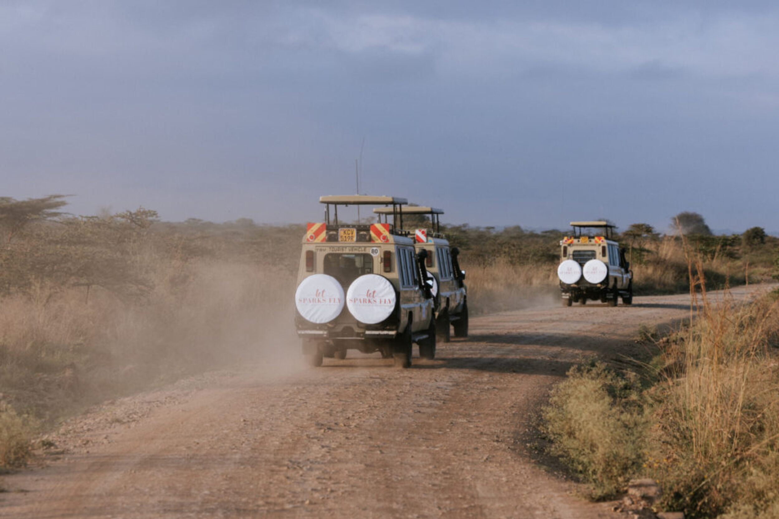 LSF-SouthAfrica-Zimbabwe20 LSF-SouthAfrica-Zimbabwe20