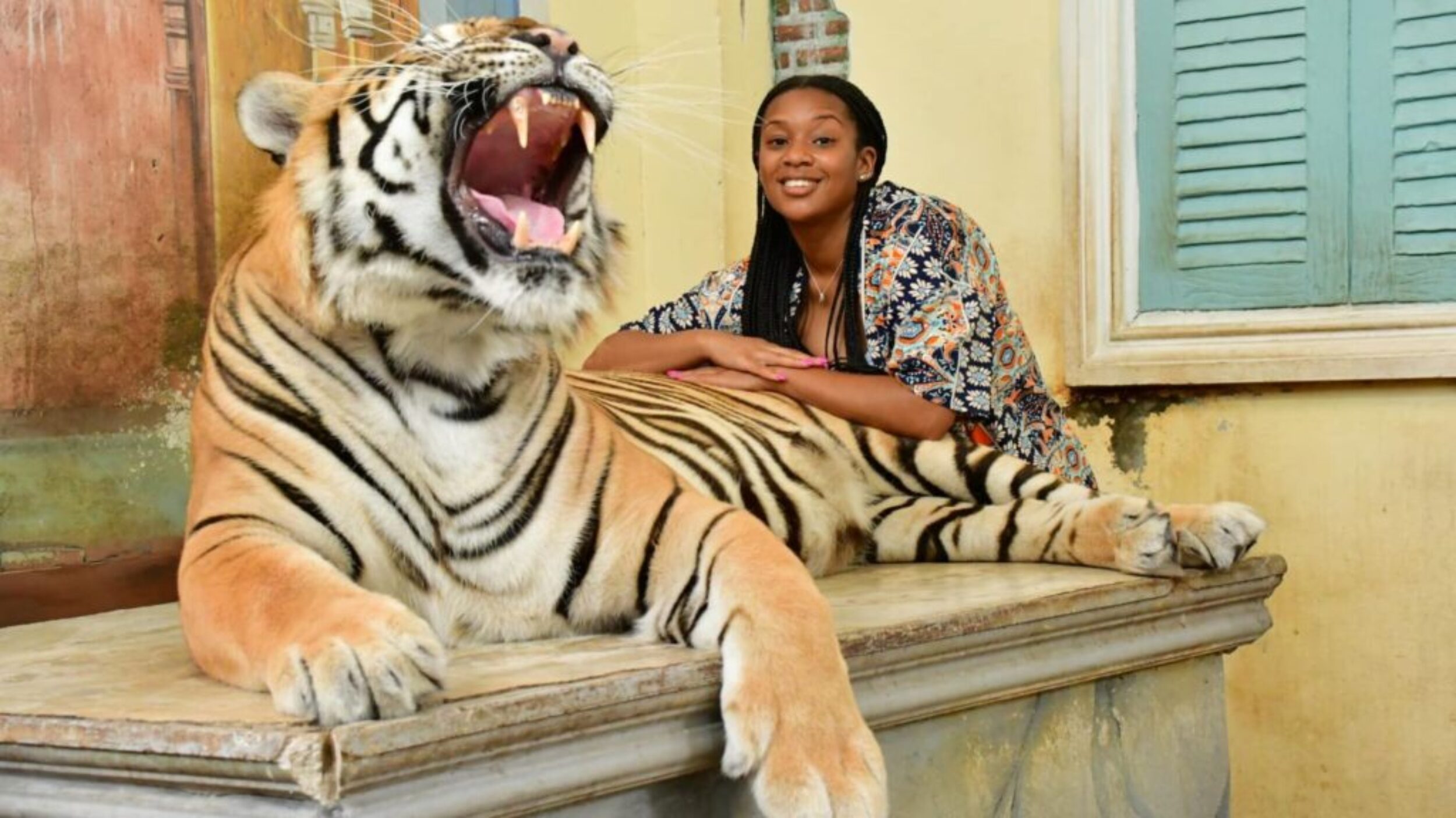 3 3