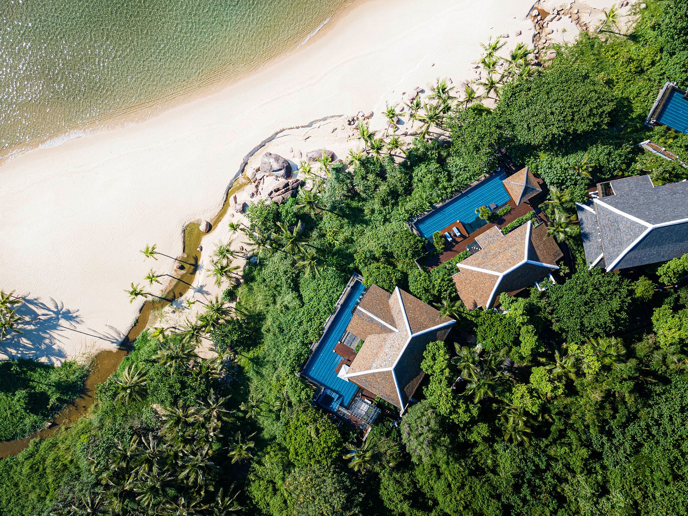 bird-s-eye-view-of-the bird-s-eye-view-of-the